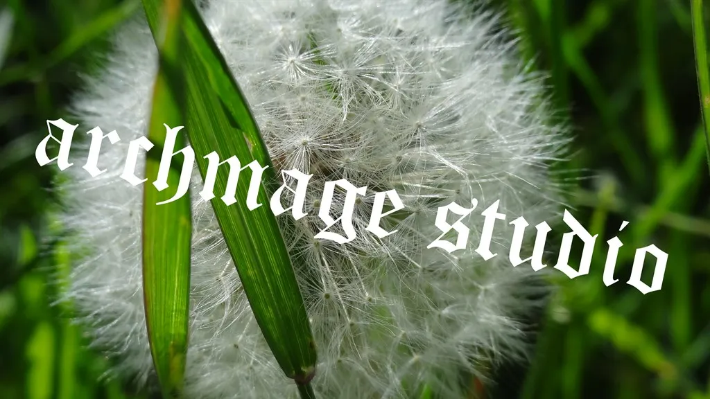 Dandelion 24