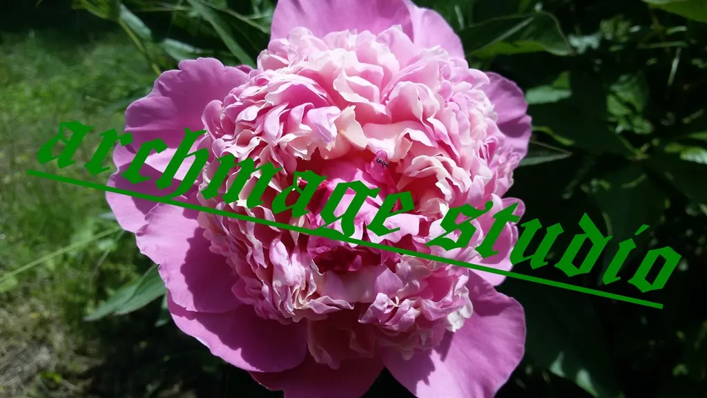 Pinky Stinky Bujour 1