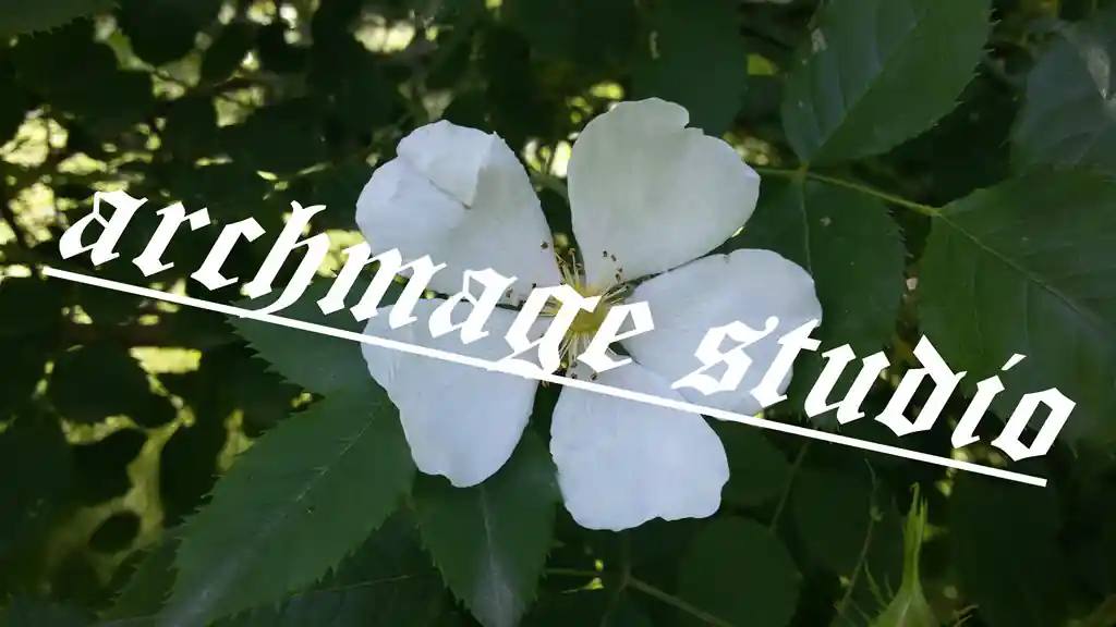 Rosa arvensis 14