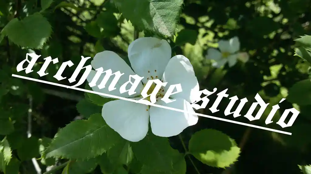 Rosa arvensis 5