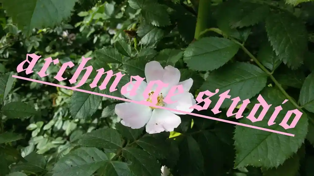 Rosa canina 61