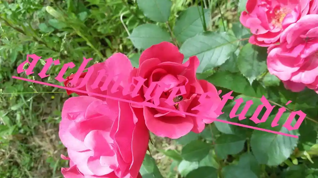 pinki no stinki rouse 28